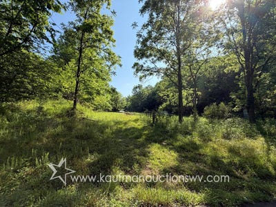 /international/us/916-grasslick-rd-gassaway-wv-110108938093/