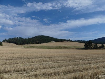/international/us/77-freeman-creek-rd-kendrick-id-110110235232/