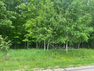 /international/us/4th-add-margaret-ln-lot-4-park-falls-wi-110046215260/