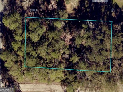 /international/us/us-highway-17-waverly-ga-110102901844/