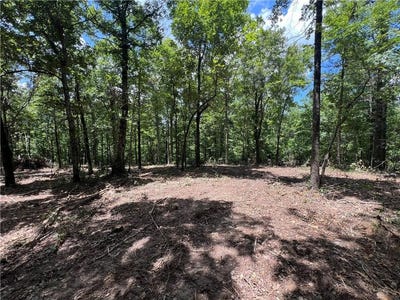 /international/us/704-old-highway-66-leslie-ar-110100924595/
