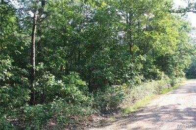 /international/us/0-county-road-750-centerville-mo-110107828621/