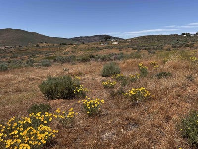 /international/us/95015-half-mile-road-portola-ca-110107637645/