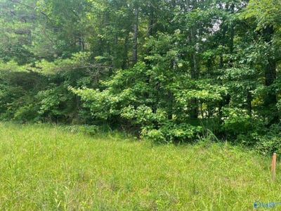 /international/us/8-1ac-county-road-1198-cullman-al-110100374698/