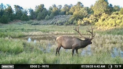 /international/us/tbd-highway-595-regina-nm-110101089014/