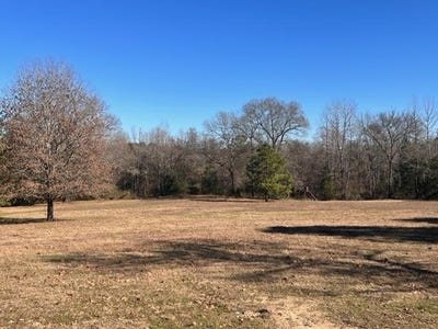 /international/us/1601-county-road-1582-avinger-tx-110089999003/