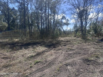 /international/us/orange-grove-road-moss-point-ms-110106141428/