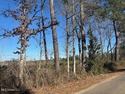 /international/us/robert-jones-road-summit-ms-110105317807/