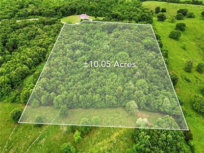 /international/us/green-forest-ar-110107883161/