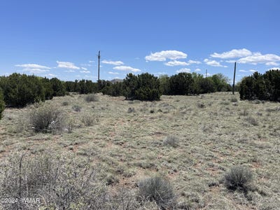/international/us/66-dawn-lane-concho-az-110094402928/