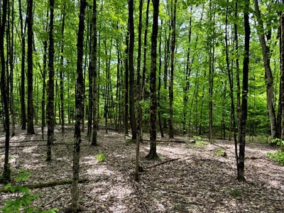 /international/us/1-10-marsh-rd-vienna-ny-110108257798/