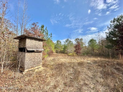 /international/us/county-road-3122-mccool-ms-110103592576/