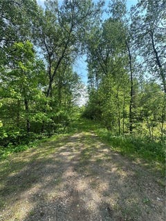 /international/us/31-54-acres-timber-wolf-drive-hayward-wi-110100019297/?lang=en