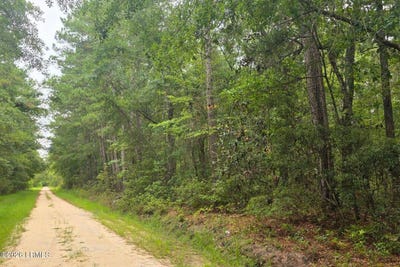 /international/us/wade-hampton-road-hampton-sc-110120449391/