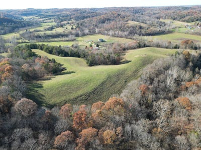 /international/us/000-cow-run-cottageville-wv-110104103100/