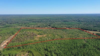 /international/us/easement-liberty-rd-jefferson-tx-110120415677/