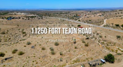 /international/us/11250-e-fort-tejon-road-pearblossom-ca-110100211207/