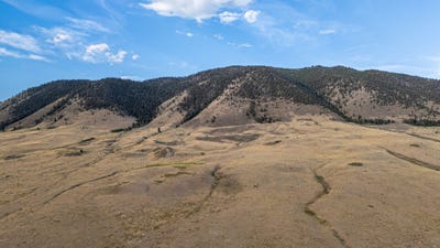 /international/us/tract-3-state-hwy-11-laramie-wy-110109881831/