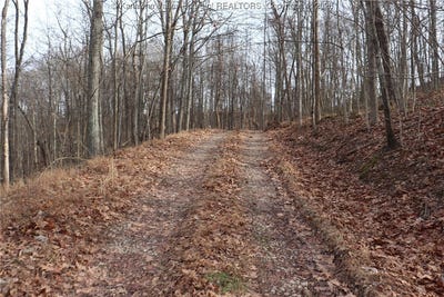 /international/us/route-12-road-alum-creek-wv-110104489064/