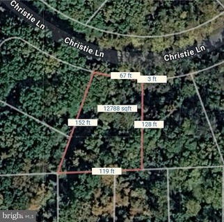 /international/us/christie-lane-lot-234-cross-junction-va-110107870740/