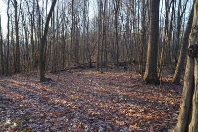 /international/us/klondike-rd-lot-2-confluence-pa-110104341634/