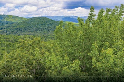 /international/us/c45-roaming-road-glenville-nc-110100447107/