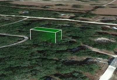 /international/us/se-82-ln-se-73-court-trenton-fl-110088705287/