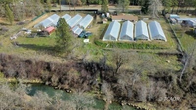 /international/us/3191-3231-st-highway-3-hayfork-ca-110105084018/