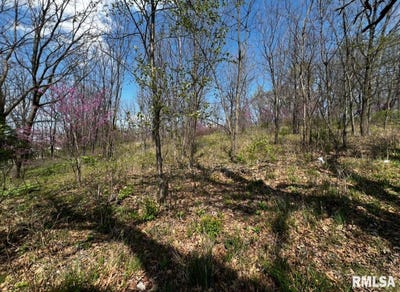 /international/us/lot-201-james-street-port-byron-il-110098962205/