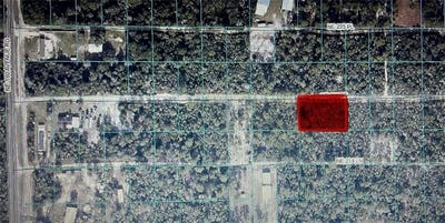 /international/us/ne-235th-street-lots-20-21-fort-mc-coy-fl-110110379902/