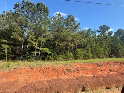 /international/us/tanglewood-trail-lot-4-georgetown-ga-110108359641/