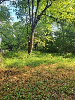 /international/us/620-vayden-street-corydon-ky-110098250045/