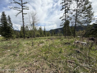 /international/us/nka-lot-1-saint-maries-river-rd-st-maries-id-110107728479/
