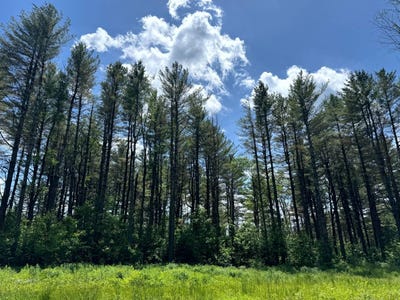 /international/us/1174-william-ernst-road-west-leyden-ny-110100475852/