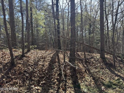 /international/us/160-oakgrove-rs-road-middleton-tn-110105777982/