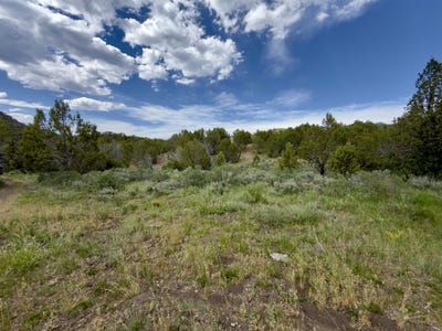 /international/us/fish-creek-rd-lava-hot-springs-id-110107999077/
