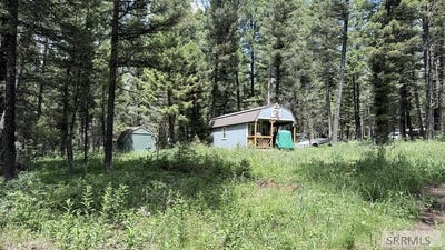 /international/us/3551-n-juniper-drive-island-park-id-110109212159/