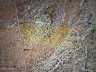 /international/us/lot-198-st-johns-az-110110354709/