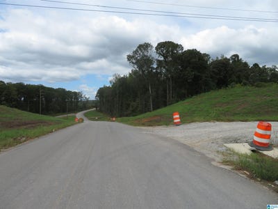 /international/us/19785-highway-11-woodstock-al-110094816853/