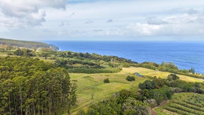 /international/us/34-1219-hawaii-belt-rd-papaaloa-hi-110106012436/