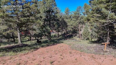 /international/us/91-utah-way-florissant-co-110119966687/
