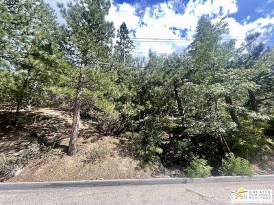 /international/us/6011-mountain-home-creek-rd-angelus-oaks-ca-110099820433/