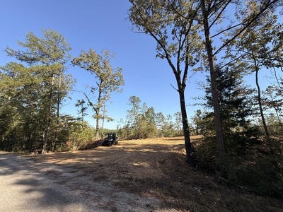 /international/us/parcel-2-haglersville-rd-mansfield-tn-110120095841/