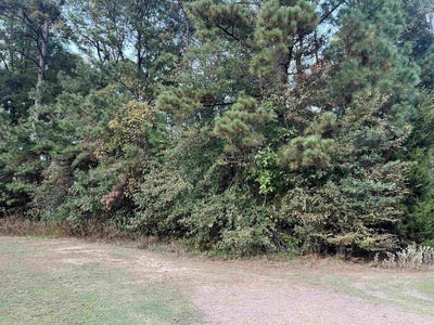 /international/us/tbd-e-14th-street-ashdown-ar-110101218366/?lang=zh-cn