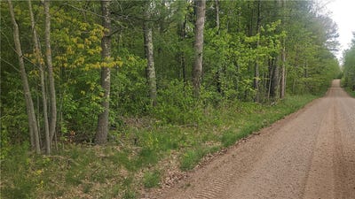 /international/us/lot-3-buckeye-lane-stone-lake-wi-110099636327/