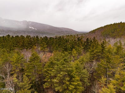 /international/us/206-mountain-path-johnsburg-ny-110103631144/