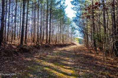 /international/us/lower-rockwood-rd-rockwood-tn-110120106239/