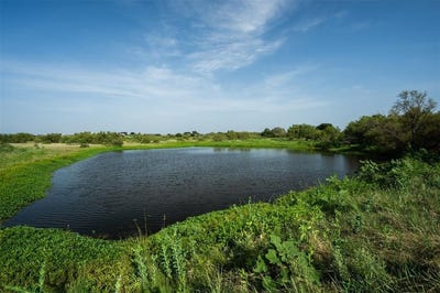 /international/us/tbd-napier-wichita-falls-tx-110101216818/