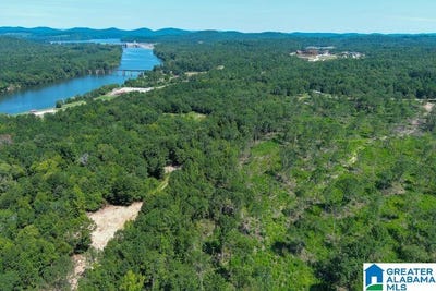 /international/us/209-harts-ferry-road-ohatchee-al-110093971800/