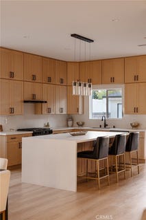 /international/us/5817-cantaloupe-avenue-valley-glen-ca-110108504997/